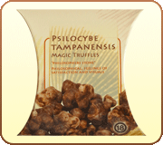 Psilocybe Tampanensis Truffels 15gr